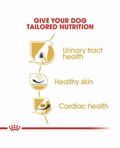 ROYAL CANIN XIRA TROFI SKuLOu ADULT DALMATIAN 12K